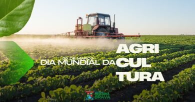 Dia Mundial da Agricultura: Boas Práticas Geram Sustentabilidade e Oportunidades para Pescaria Brava